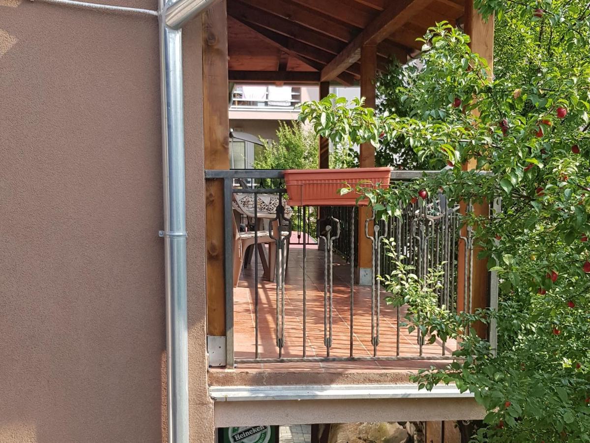 Apartmani V&F Vrnjačka Banja Zewnętrze zdjęcie